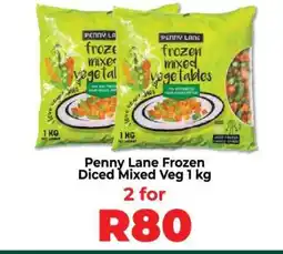 Food Lover's Market Penny Lane Frozen Diced Mixed Veg 1 Kg offer