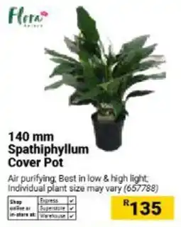 Builders Warehouse Flora 140 mm Spathiphyllum Cover Pot offer