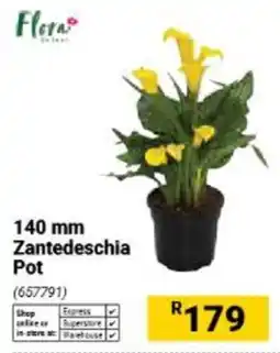 Builders Warehouse Flora Zantedeschia Pot offer