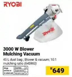 Builders Warehouse RYOBI 3000 W Blower Mulching Vacuum offer