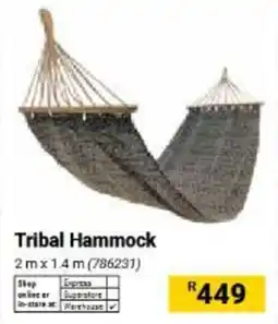 Builders Warehouse Tribal Hammock offer