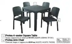 Builders Warehouse Protea Arm Chair offer