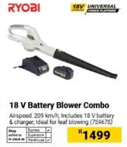 Builders Warehouse RYOBI 18 V Battery Blower Combo offer