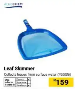 Builders Warehouse BLUECHEM Leaf Skimmer offer