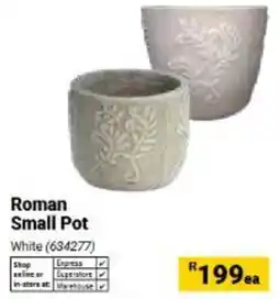 Builders Warehouse Roman Small Pot offer
