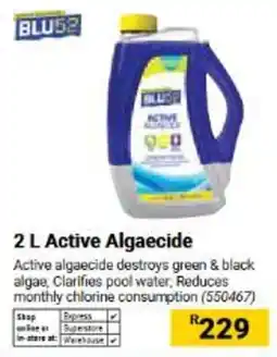 Builders Warehouse BLU52 Active Algaecide offer
