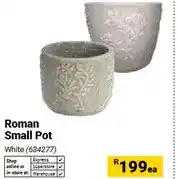 Builders Warehouse Roman Small Pot, White offer