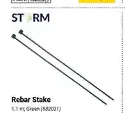 Builders Warehouse Rebar Stake 1.1 m, Green offer