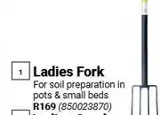 Builders Warehouse Ladies Fork offer
