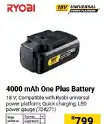Builders Warehouse 4000 mAh One Plus Battery 18 V offer