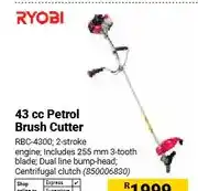 Builders Warehouse 43 cc Petrol Brush Cutter RBC-4300 offer