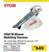 Builders Warehouse 3000 W Blower Mulching Vacuum offer