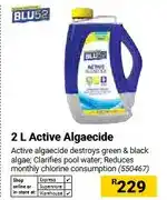 Builders Warehouse 2 L Active Algaecide offer