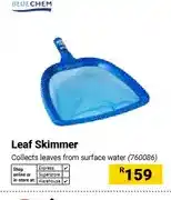 Builders Warehouse Leaf Skimmer offer