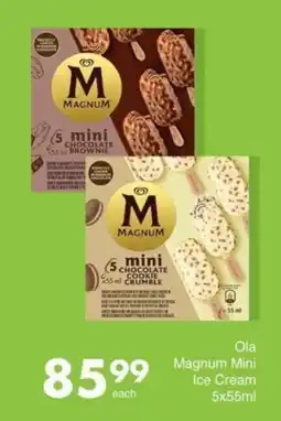 Save Magnum Mini Ice Cream offer