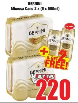 Boxer BERNINI Mimosa Cans 2 x (6 x 500ml) offer