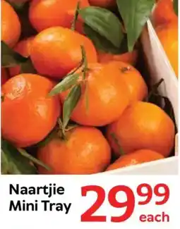 Oxford Freshmarket Naartjie Mini Tray offer