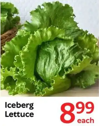 Oxford Freshmarket Iceberg Lettuce offer