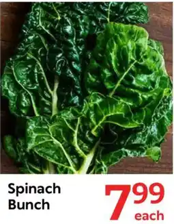 Oxford Freshmarket Spinach Bunch offer