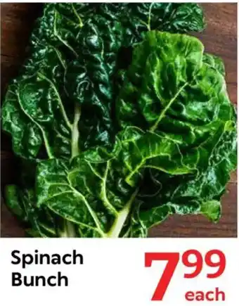 Oxford Freshmarket Spinach Bunch offer