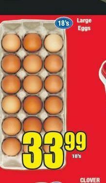 Boxer Eggs offer