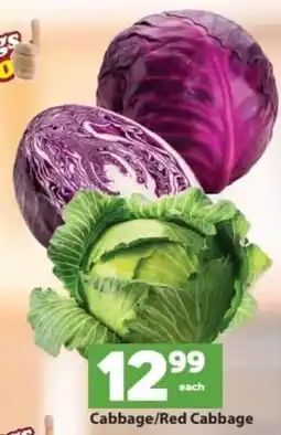 Check Save Cabbage/Red Cabbage offer