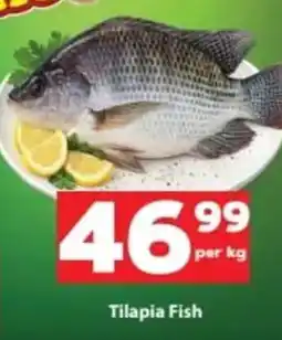 Check Save Tilapia Fish offer