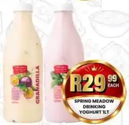 Take 'n Pay Spring Meadow Drinking Yoghurt offer