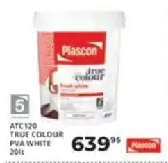 Easy Build Plascon True Colour PVA White offer