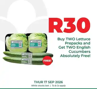 Lovers+ - lettuce prepacks and english cucumbers