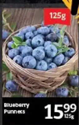 Oxford Freshmarket Blueberry Punnecs offer