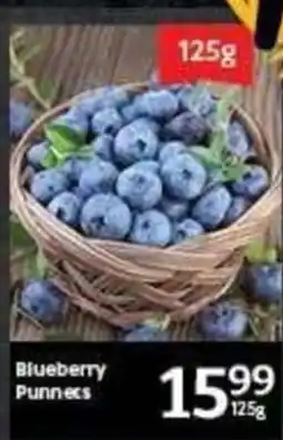 Oxford Freshmarket Blueberry Punnecs offer