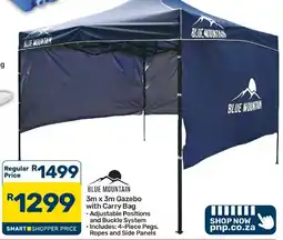 Pick n Pay Hypermarket BLUE MOUNTAIN 3m x 3m Gazebo with Carry Bag offer