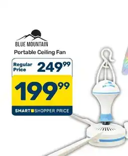 Pick n Pay Hypermarket Blue Mountain Portable Ceiling Fan offer