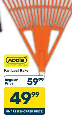 Pick n Pay Hypermarket ADDIS Fan Leaf Rake offer