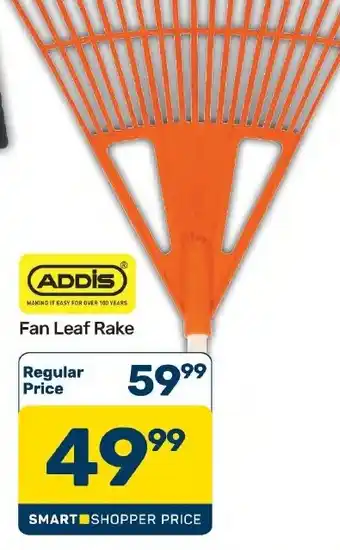 Pick n Pay Hypermarket ADDIS Fan Leaf Rake offer