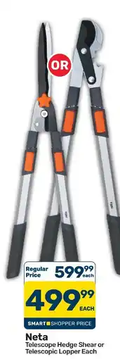 Pick n Pay Hypermarket Neta Telescope Hedge Shear or Telescopic Lopper offer