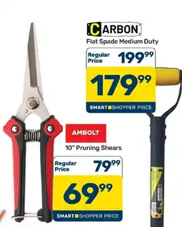 Pick n Pay Hypermarket AMBOLT 10" Pruning Shears offer