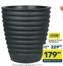 Pick n Pay Hypermarket ADDIS Acapulco Flower Pot Medium offer