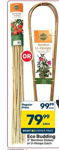 Pick n Pay Hypermarket Eco Budding 3" Bamboo Stakes or U-Hoops Each offer