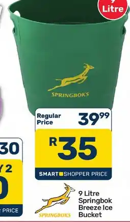 Pick n Pay Hypermarket 9 Litre Springbok Breeze Ice Bucket offer