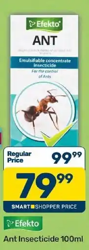 Pick n Pay Hypermarket Efekto Ant Insecticide offer