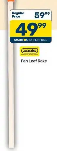 Pick n Pay Hypermarket ADDIS Fan Leaf Rake offer