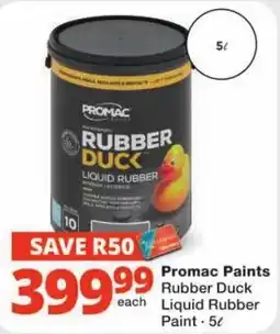Checkers Promac Paints Rubber Duck Liquid Rubber Paint offer