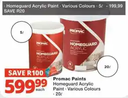 Checkers Promac Paints Homeguard Acrylic Paint Assorted offer