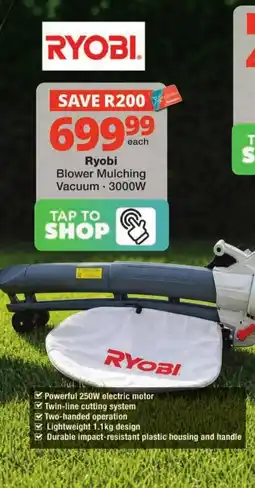 Checkers Ryobi Blower Mulching Vacuum offer