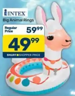 Pick n Pay Intex Big Animal Rings offer