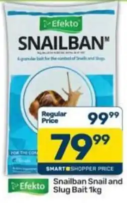Pick n Pay Snailban Snail and Slug Bait offer