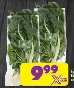 Shoprite Spinach offer