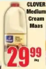 Boxer Clover Medium Cream Maas offer